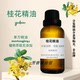 Oil 桂花精油 Absolute Osmanthus 桂花油 舒緩敏感