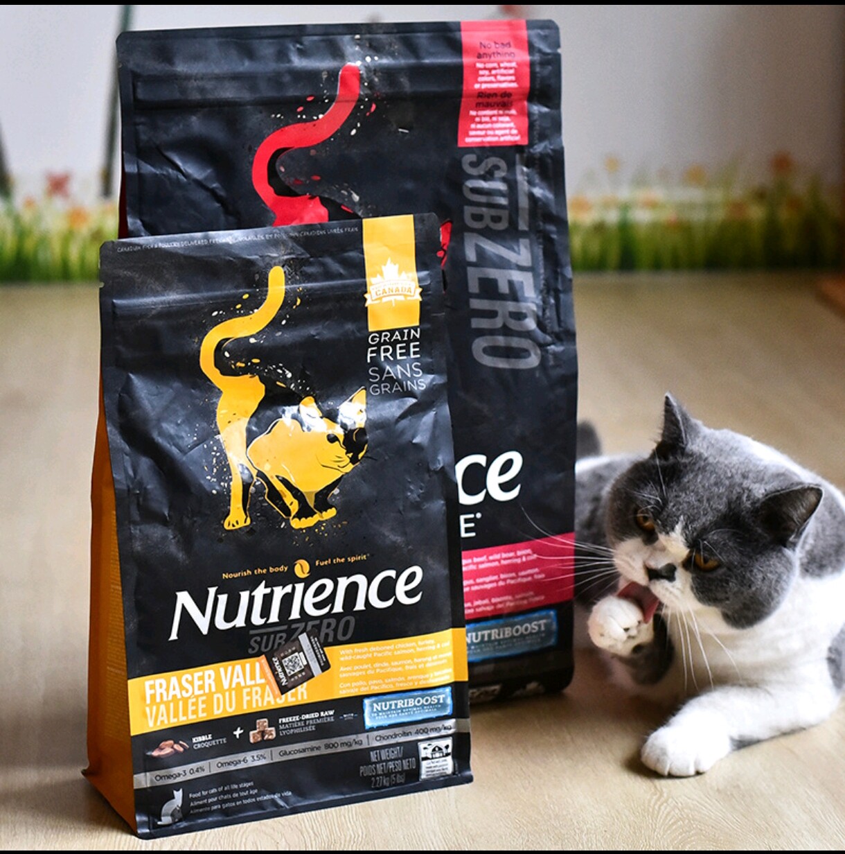 哈根纽翠斯黑钻猫粮天然无谷禽肉红肉冻干成幼猫通用猫粮