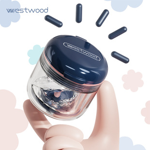 Westwood 003专业密封不漏水牙套盒保持器浸泡盒假牙清洗盒