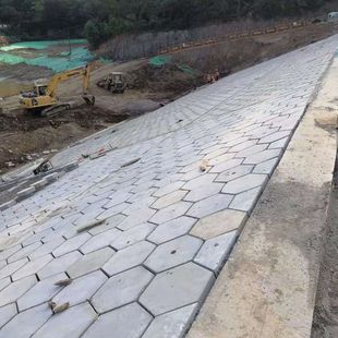 福建三明实心六角砖河道护坡砖生态锁扣砖植草砖草坪砖草坪砖