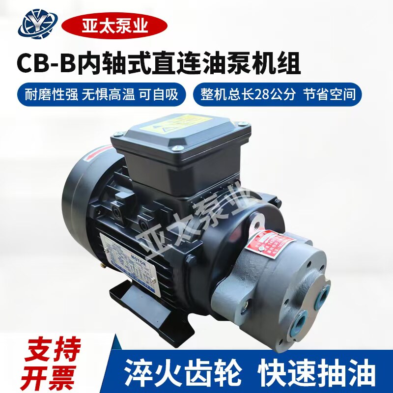 CB-B油泵总成采用国标纯铜线电机图片