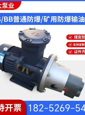 防爆齿轮液压油泵立卧式电机组CB-B16/20/25/40WBZ循环输油泵矿用