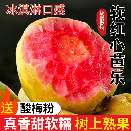 抢！正宗软心芭乐红心奶油番石榴