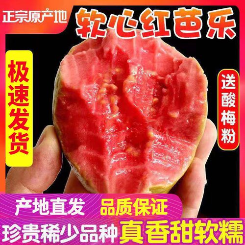 抢！正宗软心芭乐红心奶油番石榴