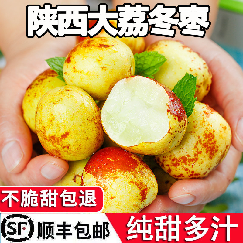 正宗陕西大荔冬枣新鲜冰糖脆甜特大5斤包邮水果现货当季枣子顺丰