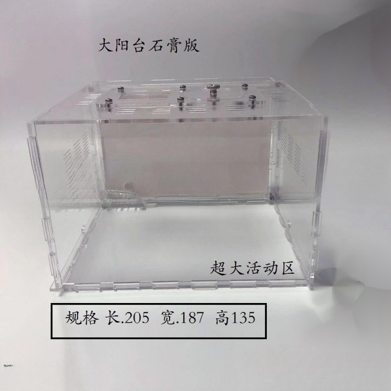 qy石膏蚁巢巢生城堡试管宠物生A日特硬蚁巢宠物混凝土散装长宽工