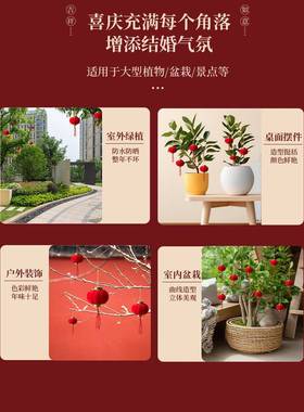 饰灯笼挂树上2025款红色结婚新院子户外树上迷OPY你装饰挂件批小