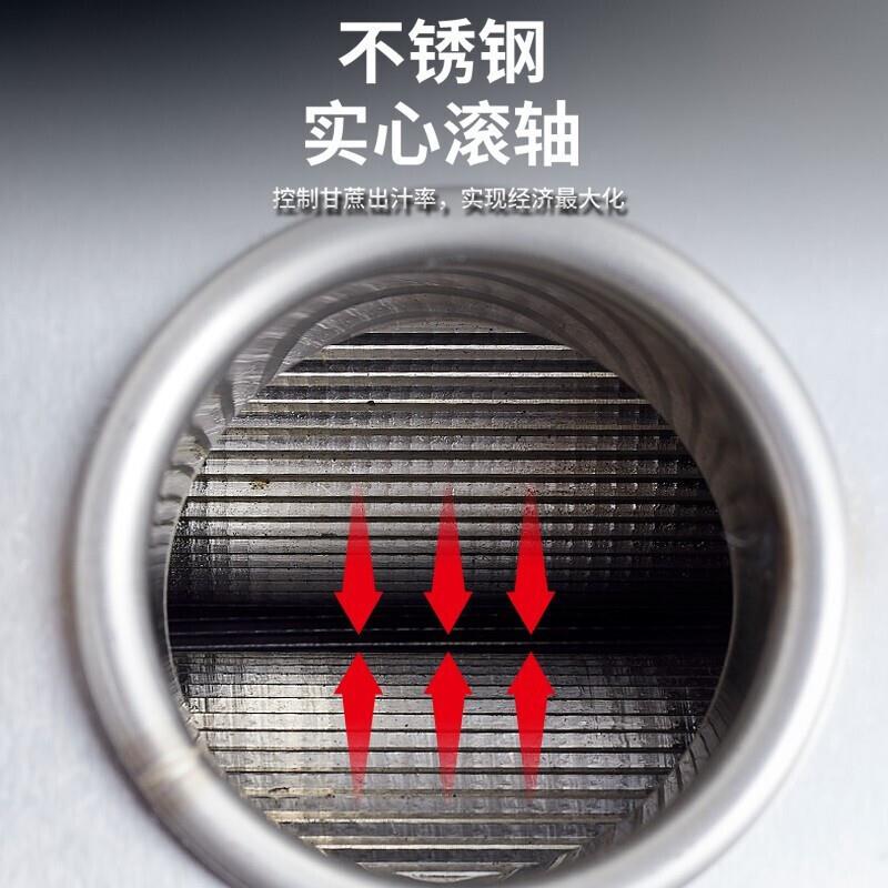 史蒂芬动甘蔗机LSR商甘蔗榨机全自动款流蔗汁机S汁DF-XF-ZG1用D