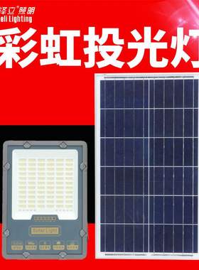 太阳能灯户外庭院投光灯 2020新款LED户外灯 外贸出口solar light