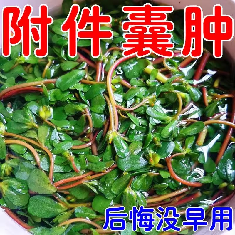 【早用早舒服】附件卵巢囊肿输卵管囊肿积水小腹坠痛月经不调发黄