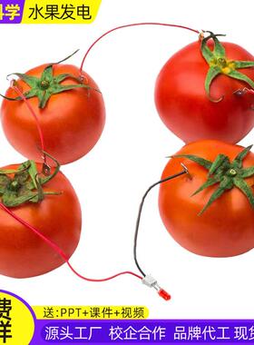 水果电池科学小制作水果发电科教实验玩具手工diy中小学生材料包
