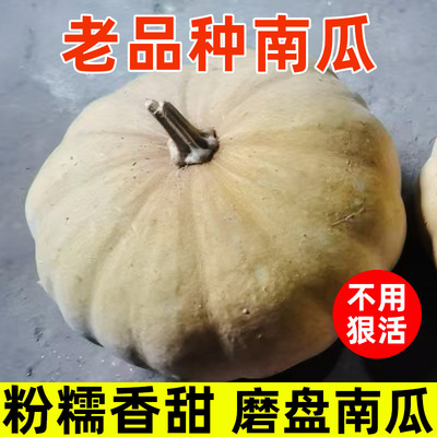 低糖老品种宝宝辅食南瓜