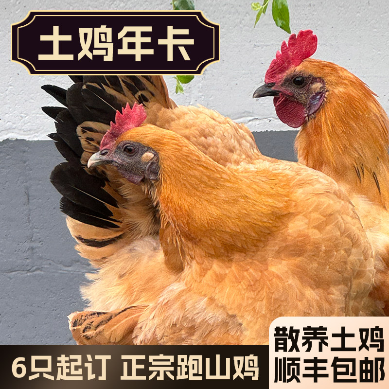 湖南农家自种番薯脆甜可口