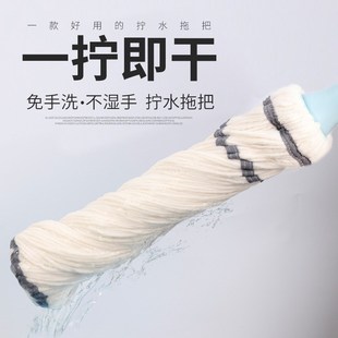 家用一拖净懒人老Z式 德国拖把免手洗自拧水旋转2024新款 吸水无水