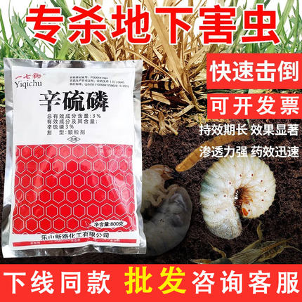 3%辛硫磷颗粒土壤杀虫药玉米千足虫蛴螬地老虎除底下害虫专用药