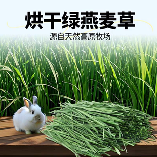 烘干燕麦草草段干草兔子草兔粮龙猫荷兰猪豚鼠牧草饲料