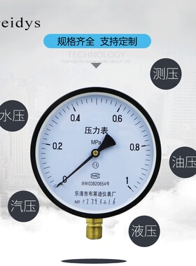压力表Y150电泳壳普通压力表测水压气压通用0-1.6/100mpa多量程