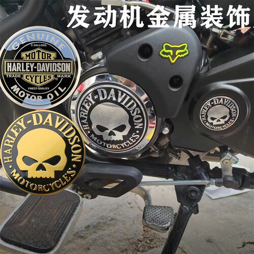 金属贴标适用豪爵TR300金吉拉灰石300引擎盖骷髅头贴花复古装饰
