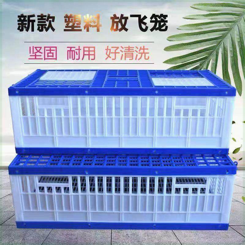 信赛鸽用品用具鸽子笼塑料放飞笼训放笼报道笼集鸽笼训鸽笼包邮