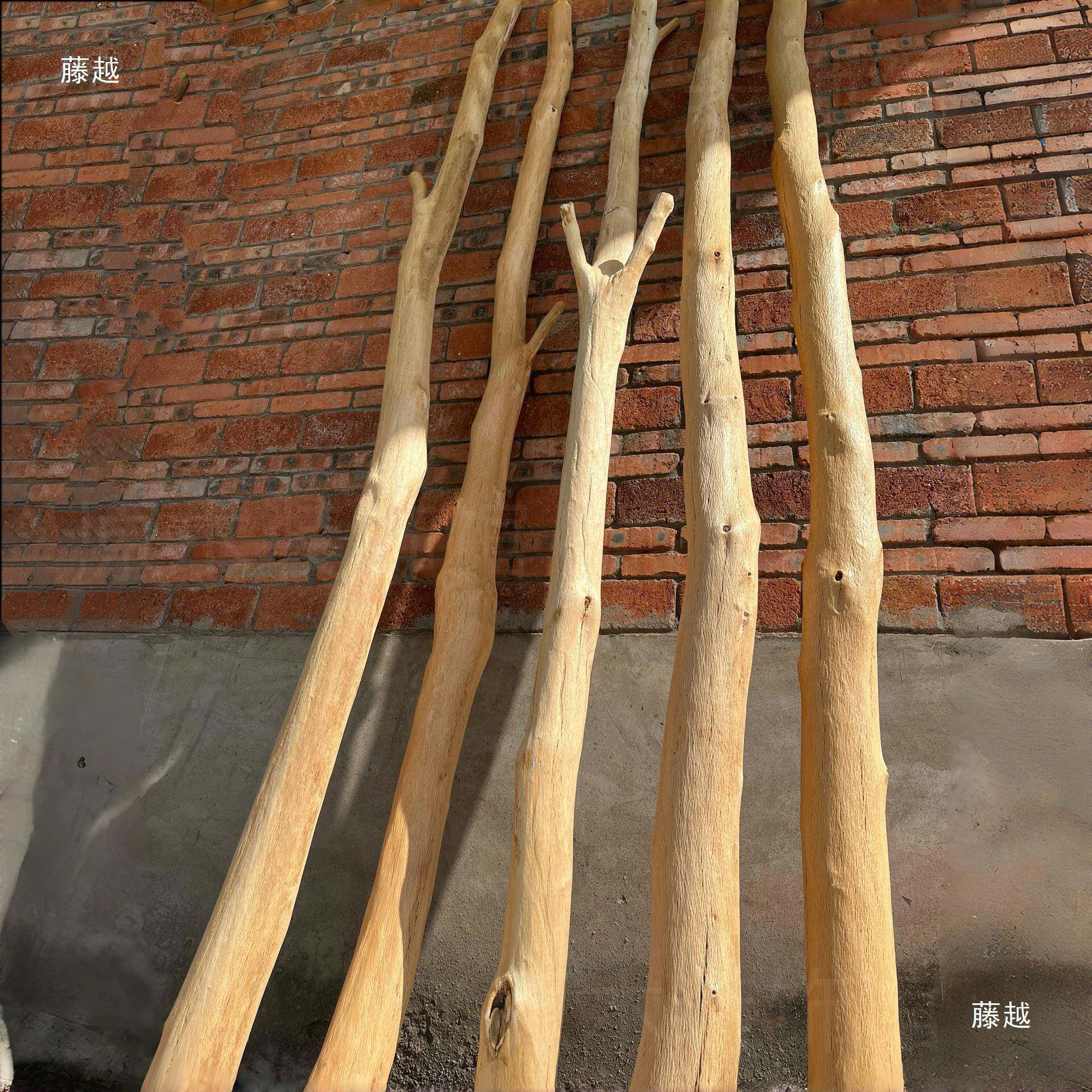 树枝原木不宿干枝客厅屏风隔断装饰酒店tlznsdu+民幼儿园规背景摆