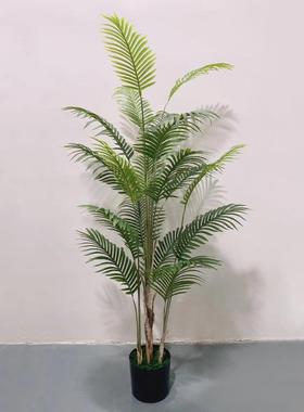 直供仿真植物葵树盆栽葵树绿装盆景Simulaiongre植enpl饰atnt