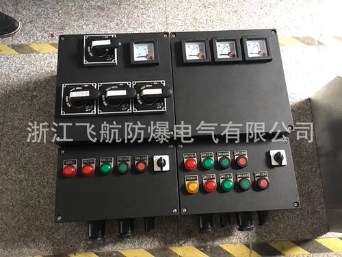 BXM(D)8050防腐控制箱防爆配电箱 三防按钮箱仪表控制箱