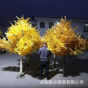 仿真林白桦树假树季美陈场酒n007店橱窗商装饰摆放仿真树胡杨秋树