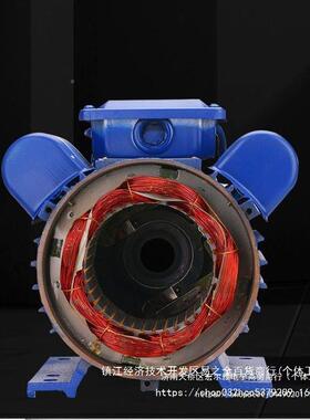 YL全铜电动机大LBW马力家单用马相20V国标达2粉碎机打米机两相普