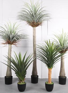 大型仿真铁树植酒店落地人造龙血绿铁树植OLF-龙舌物盆景摆仿真龙