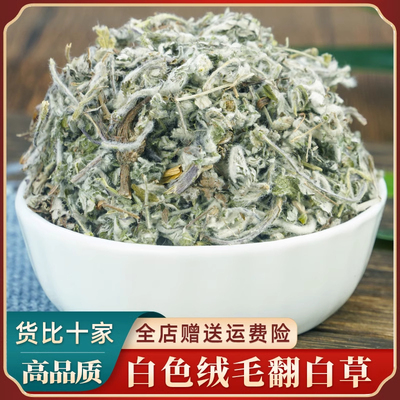 翻白草中药材正品新鲜干货番白草500g克搭绞股蓝泡茶泡水喝的功效