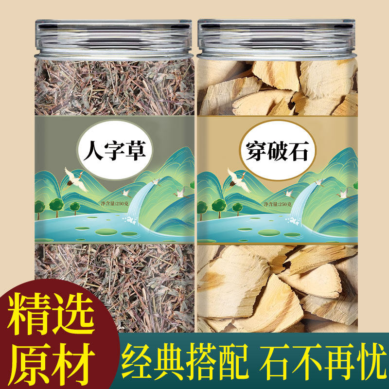 穿破石人字草正宗中药材新鲜干货石见穿泡茶喝川破石的功效与作用