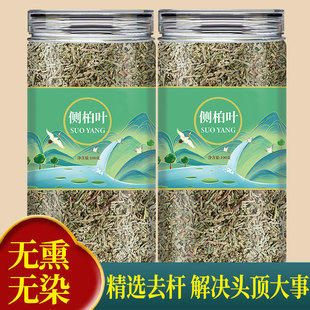 中药材侧柏叶500g正品干货侧伯叶扁柏叶中药洗发水防脱洗头泡头