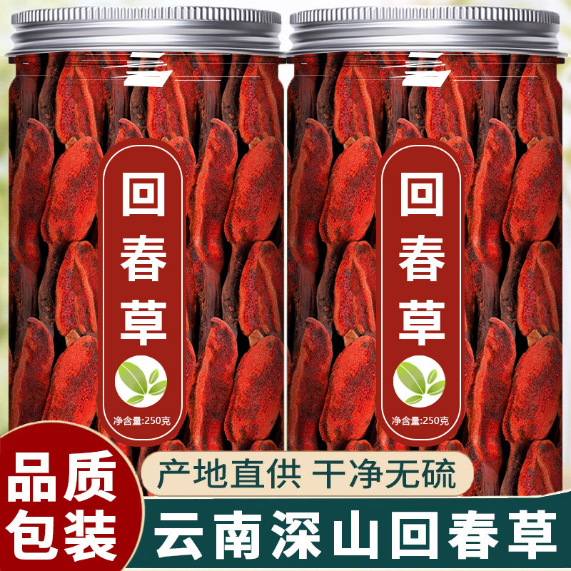 回春草野生正品云南深山新鲜淫羊藿肉苁蓉巴戟天不老草泡茶的功效