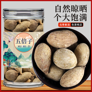 五倍子中药材正品新品干货五贝子蛇床子可泡水泡茶喝的作用与功效