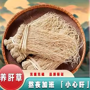 精选养肝草龙须草新鲜干货特产护肝金草丝线根煲汤煮茶原材料养生