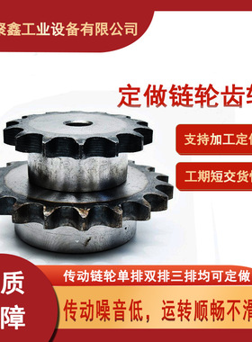 现货供应45号钢标准双链轮06B 08B 10A 12A 16A平双排链轮