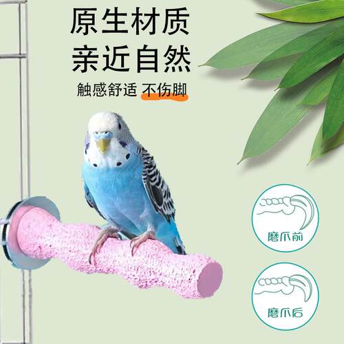 鹦鹉磨砂站杆站台虎皮玄凤牡丹专用站架鸟笼配件鸟用树脂啃咬玩具