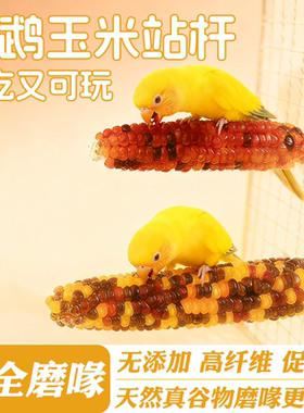 鹦鹉玉米站杆磨牙玩具