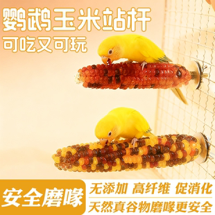 鹦鹉玉米站杆磨牙玩具促消化啃咬类天然谷物安全磨喙小型鹦鹉适用