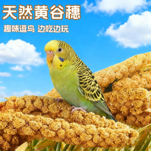 鹦鹉零食棒谷穗训练奖励小零食麦穗谷子虎皮玄凤牡丹专用鸟粮饲料