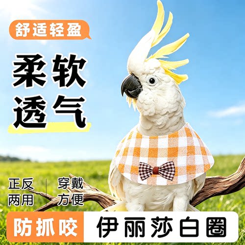 鹦鹉伊丽莎白圈牡丹和尚大头鸟套