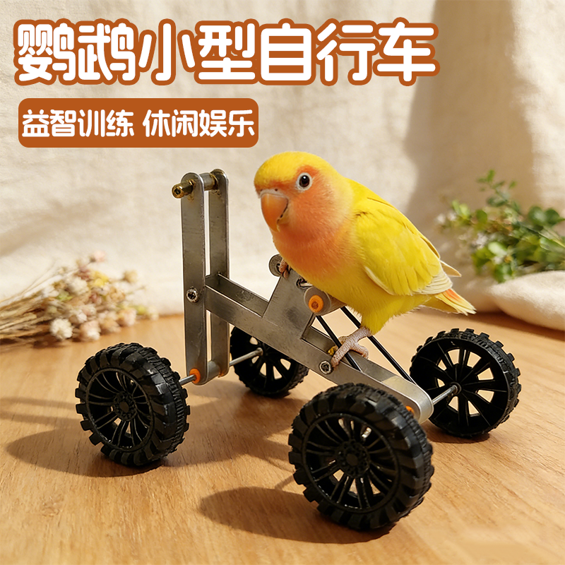 鹦鹉小型自行车益智训练玩具小鸟平衡车虎皮牡丹玄凤专用鸟单车,宠物/宠物食品及用品,鸟玩具,淘宝优惠券,粉丝福利购,淘宝优惠卷