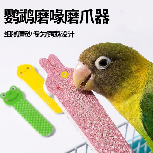 鹦鹉通用细磨砂磨喙器成年鸟用