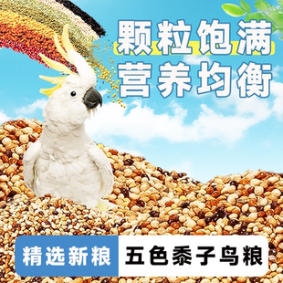 鹦鹉五色黍子鸟粮玄凤虎皮文鸟中小型鹦鹉鸟食饲料混合营养粮谷子