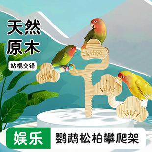 新款鹦鹉攀爬绳鸟站架鸟笼造景玄凤虎皮实木爬梯磨牙站棍鸟玩具