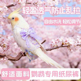 鹦鹉透气纸尿裤烫金汉服款紫色蝴蝶结防乱拉轻松调节宠物鸟用品