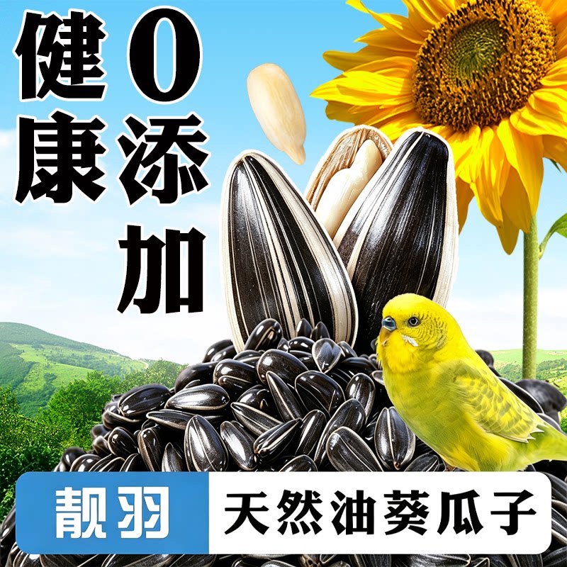 鹦鹉油葵瓜子零食鸟粮虎皮牡丹玄凤专用小鸟饲料训练奖励磨牙用品
