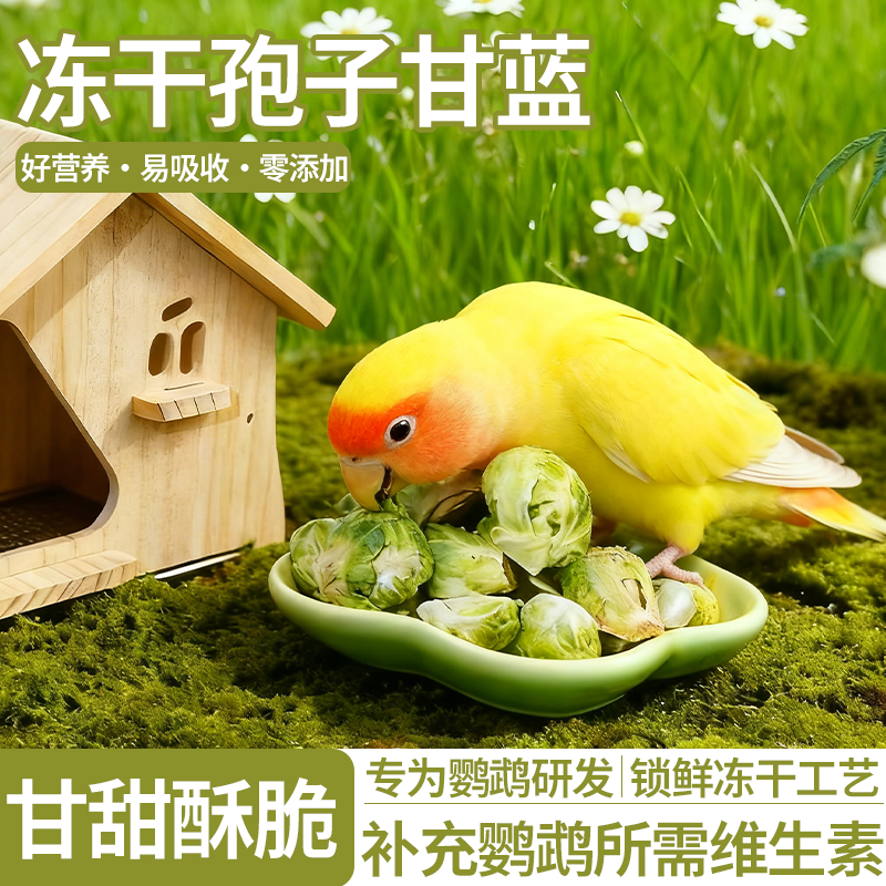 鹦鹉零食把孢子甘蓝蔬菜水果牡丹虎皮玄凤专用奖励零食无添加辅食,宠物/宠物食品及用品,鸟零食,淘宝优惠券,粉丝福利购,淘宝优惠卷