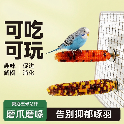鹦鹉玉米站杆磨牙玩具啃咬鸟用品