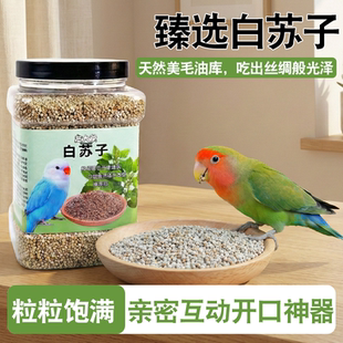 特级白苏子鸟粮牡丹鹦鹉饲料增色美毛催肥鸟粮饱满大粒营养配粮